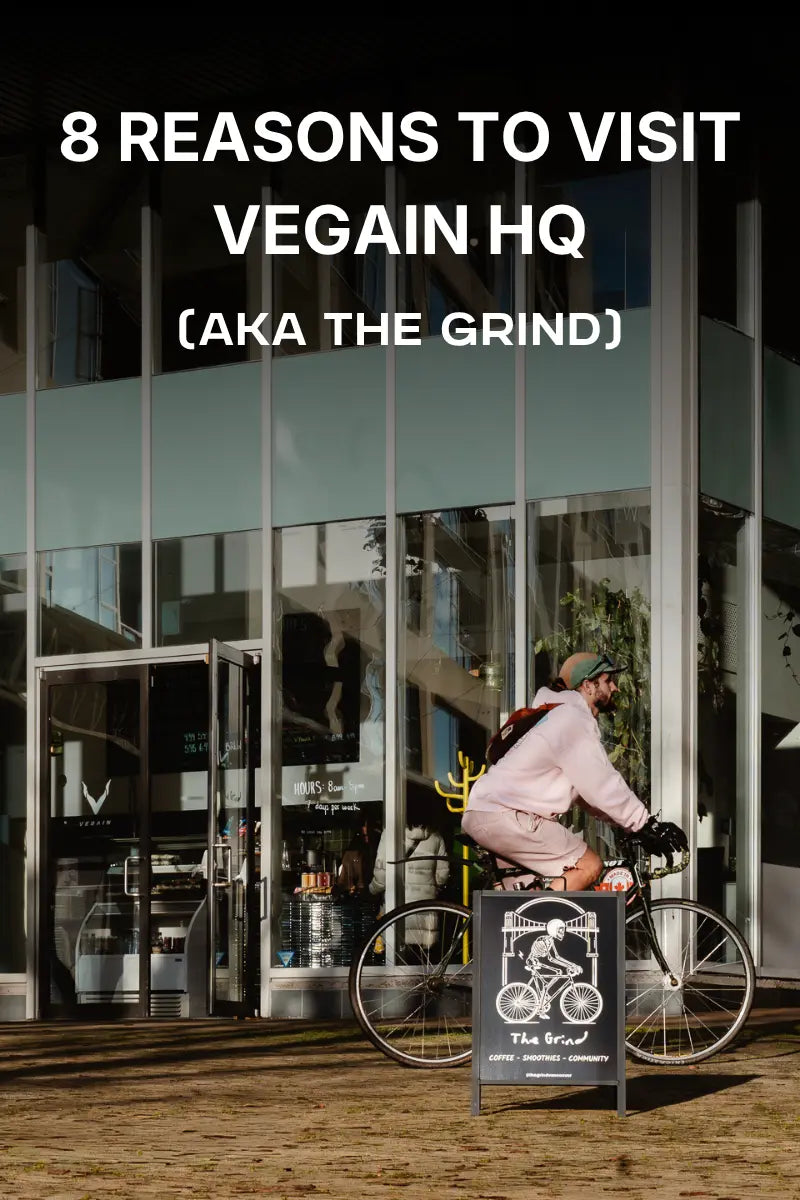 8 Reasons to Visit VEGAIN HQ (aka The Grind)