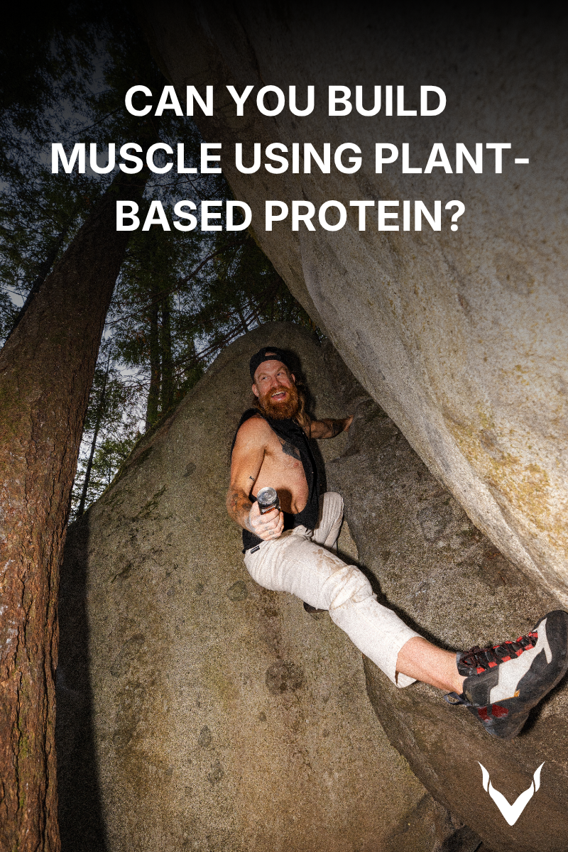 Can You Build Muscle Using Plant-Based Protein?