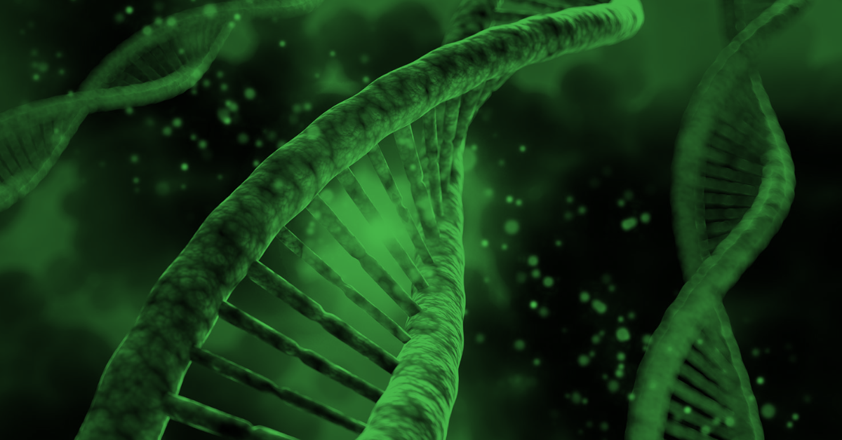 Why Protein Matters: From Repair to Growth