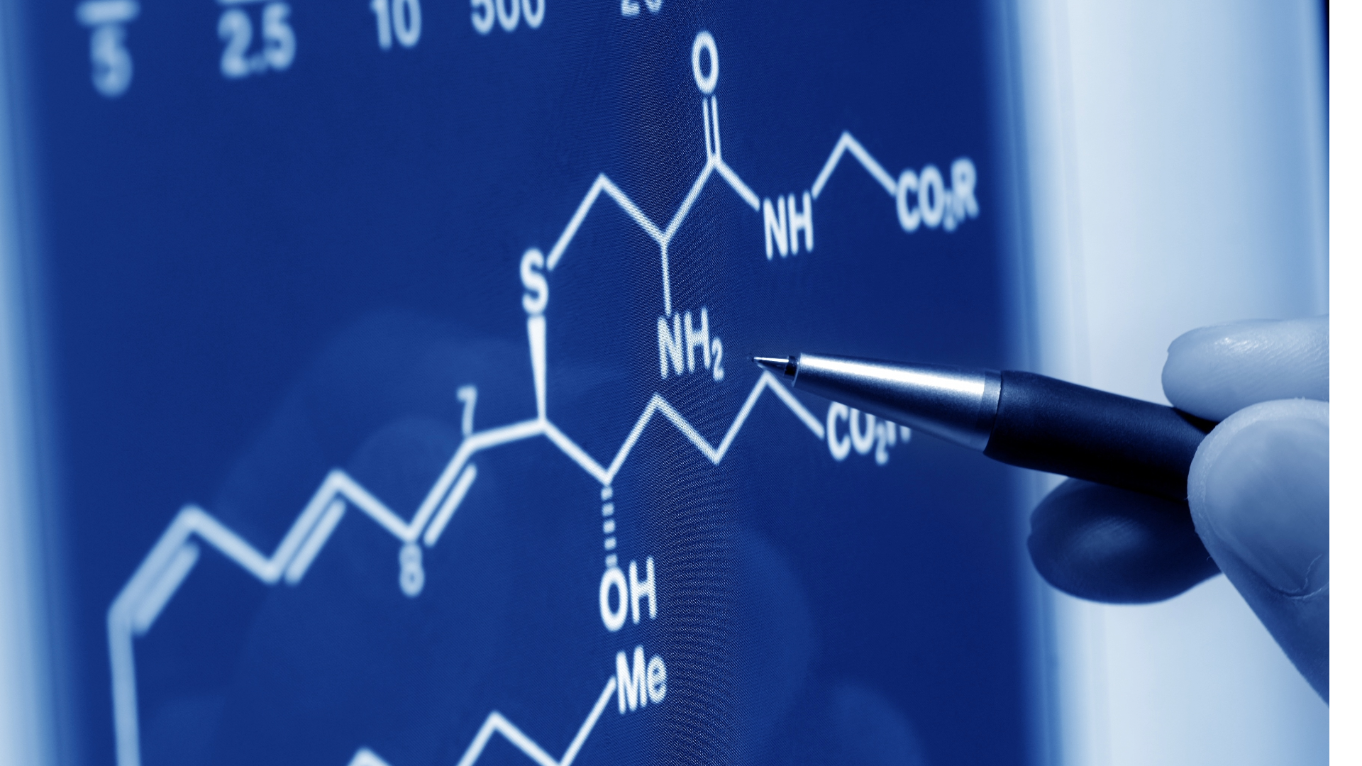 Amino Acids 101: Does the Source Really Matter?