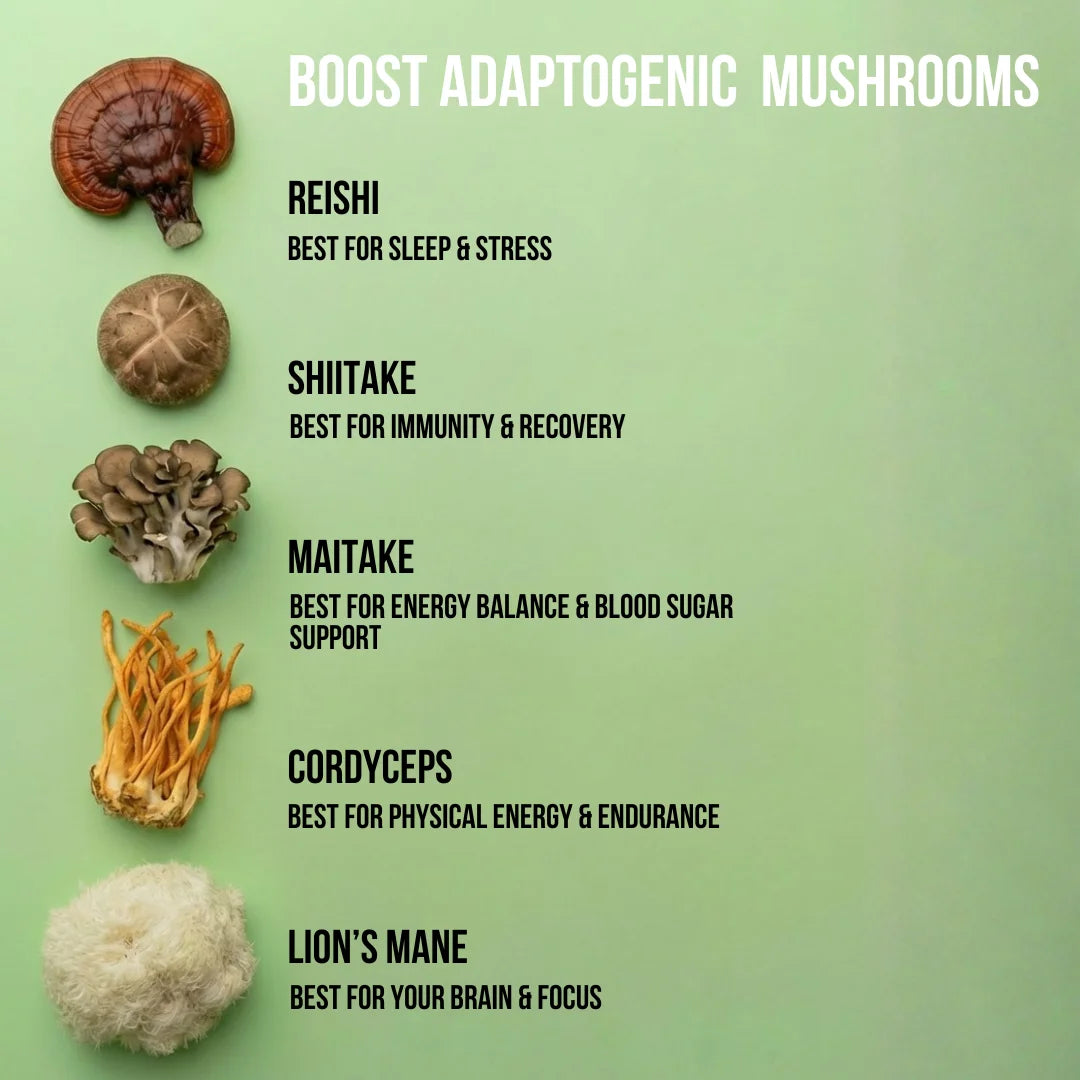 BOOST Adaptogenic Mushrooms