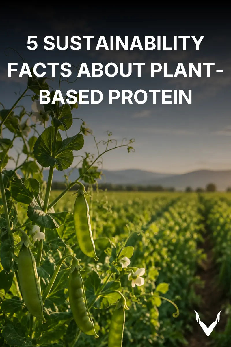 5 Sustainability Facts About Plant-Based Protein